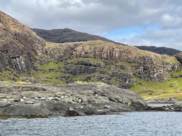Waterfall View Milovaig Esterno foto